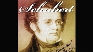 The Best of Schubert [upl. by Yak]