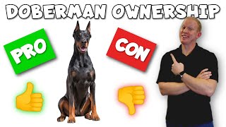 Doberman Pinscher Pros and Cons  From an ACTUAL Owner [upl. by Yonit]