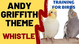 THE ANDY GRIFFITH SHOW THEME WHISTLE  Cockatiel Singing Training  Bird Whistling Practice [upl. by Ahsaei98]