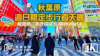 4K 日本自由行 EP 20 週日限定步行者天國 秋葉原 視旅台灣 東京自由行 秋葉原／あきはばら Akihabara 動漫迷必來的景點 [upl. by Enellij]