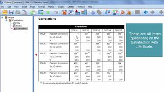 How to Interpret a Correlation Matrix [upl. by Pacifica646]