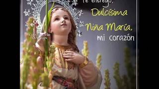 AVE MARIA TRADUCCIÓN DEL ARAMEO AL ESPAÑOL [upl. by Yelsiap]