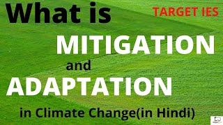 Mitigation and Adaptation in Climate Change TARGET IES IES lecturesEnvironment [upl. by Lisan]