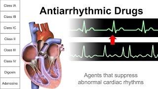 Antiarrhythmic Drugs [upl. by Toolis56]