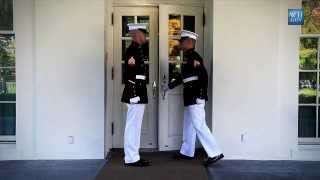 Marine Sentries  Inside the White House [upl. by Nwaf]