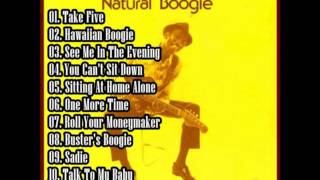 Hound Dog Taylor  Natural Boogie Full Album [upl. by Harbour]