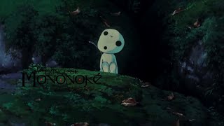 Princess Mononoke  Kodama  Music and Ambience [upl. by Carolee]