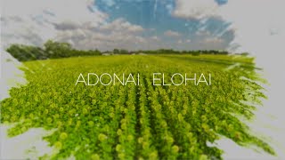 Paul Wilbur  Adonai Elohai Lyric Video [upl. by Einor]