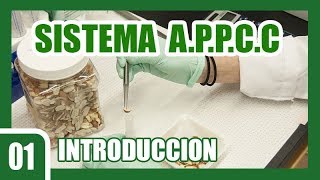 01 Sistema APPCC  Introducción [upl. by Partridge]