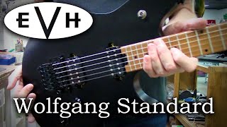 EVH Wolfgang Standard Restring [upl. by Bowman]