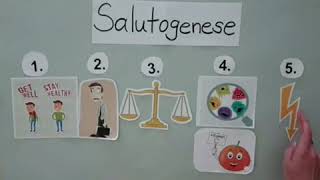 Das SALUTOGENESE MODELL Legefilm [upl. by Eiliab943]