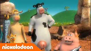 La Ferme en folie  La cérémonie Porc  Nickelodeon France [upl. by Holly]