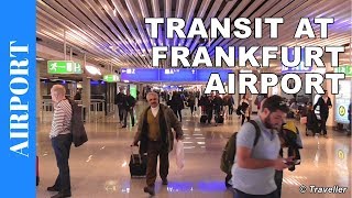 TRANSIT WALK AT FRANKFURT Airport FRA Terminal 1  Connection Flight Transfer Arriving amp Departing [upl. by Modnarb190]