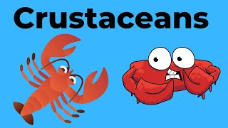 Characteristics of Crustaceans [upl. by Nodababus]