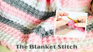 How to Crochet the Blanket Stitch EASY Crochet Tutorial [upl. by Chute649]