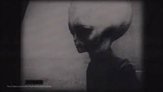 Zeta Reticuli Aliens Space Craft and Encounters [upl. by Odnumyar]